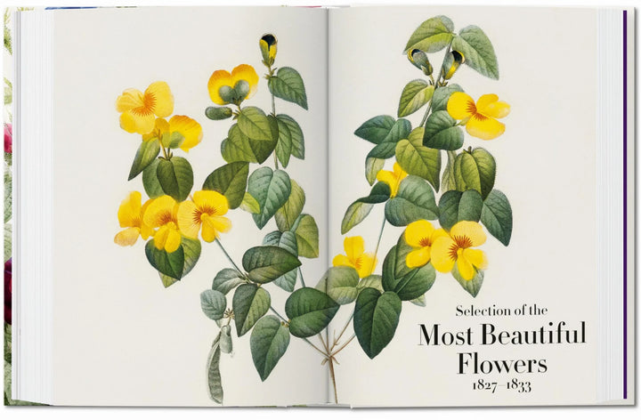 45th Anniversary: Redouté - The Book of Flowers
