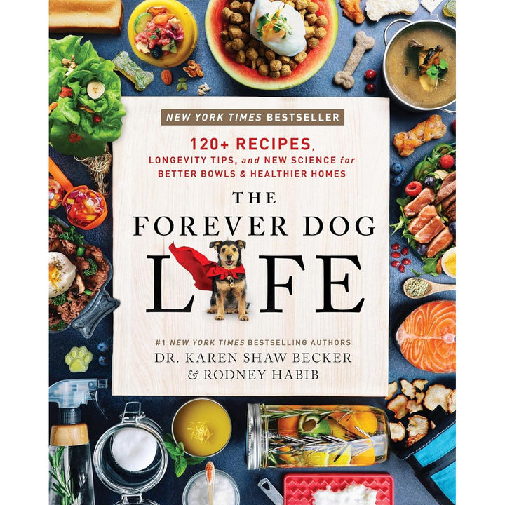 The Forever Dog Life