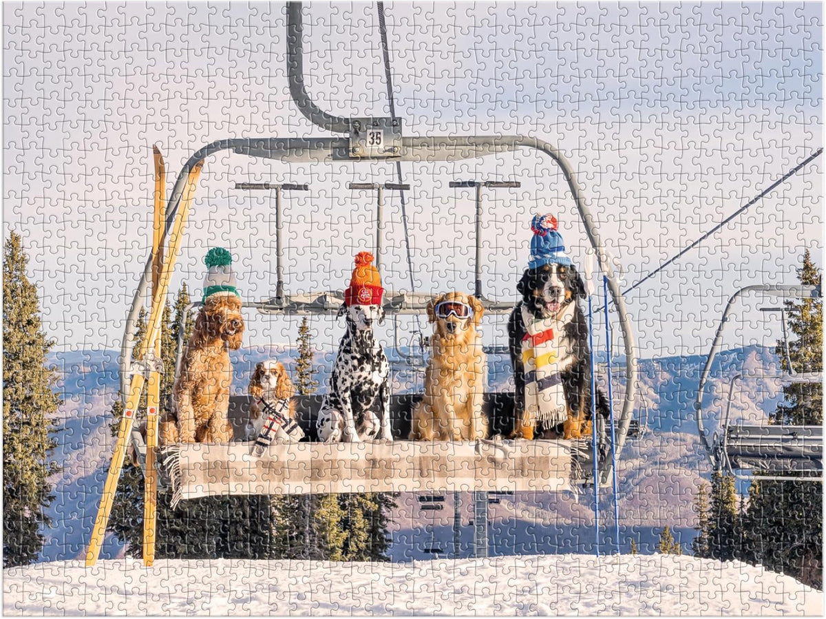 Gray Malin Aspen 1000 Piece Puzzle
