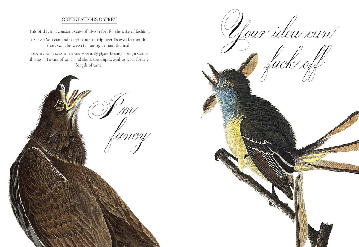 Effin' Birds
