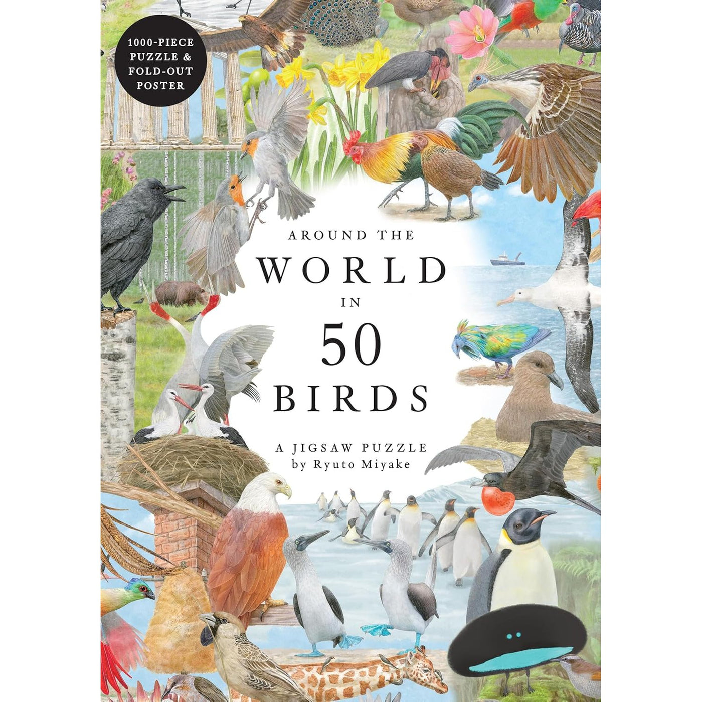 Around The World In 50 Birds 1000 Piece Puzzle