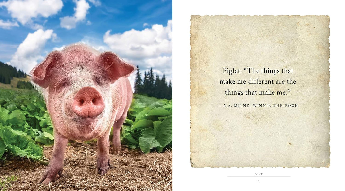 Oink: A Book Of Fun For Pig Lovers