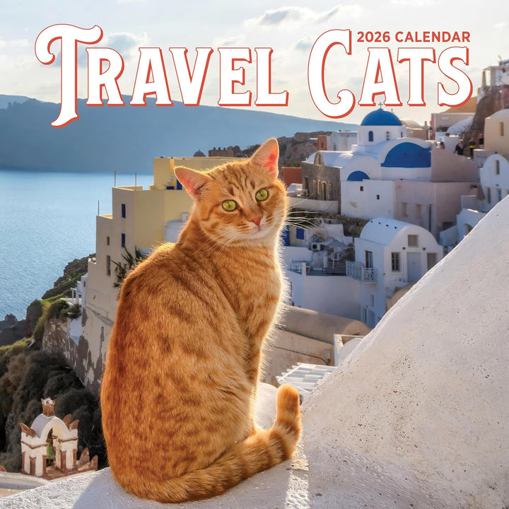 Wall Calendar 2026: Travel Cats