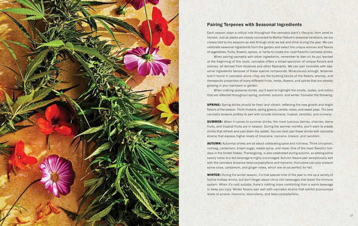 High Times Cannabis Cocktails