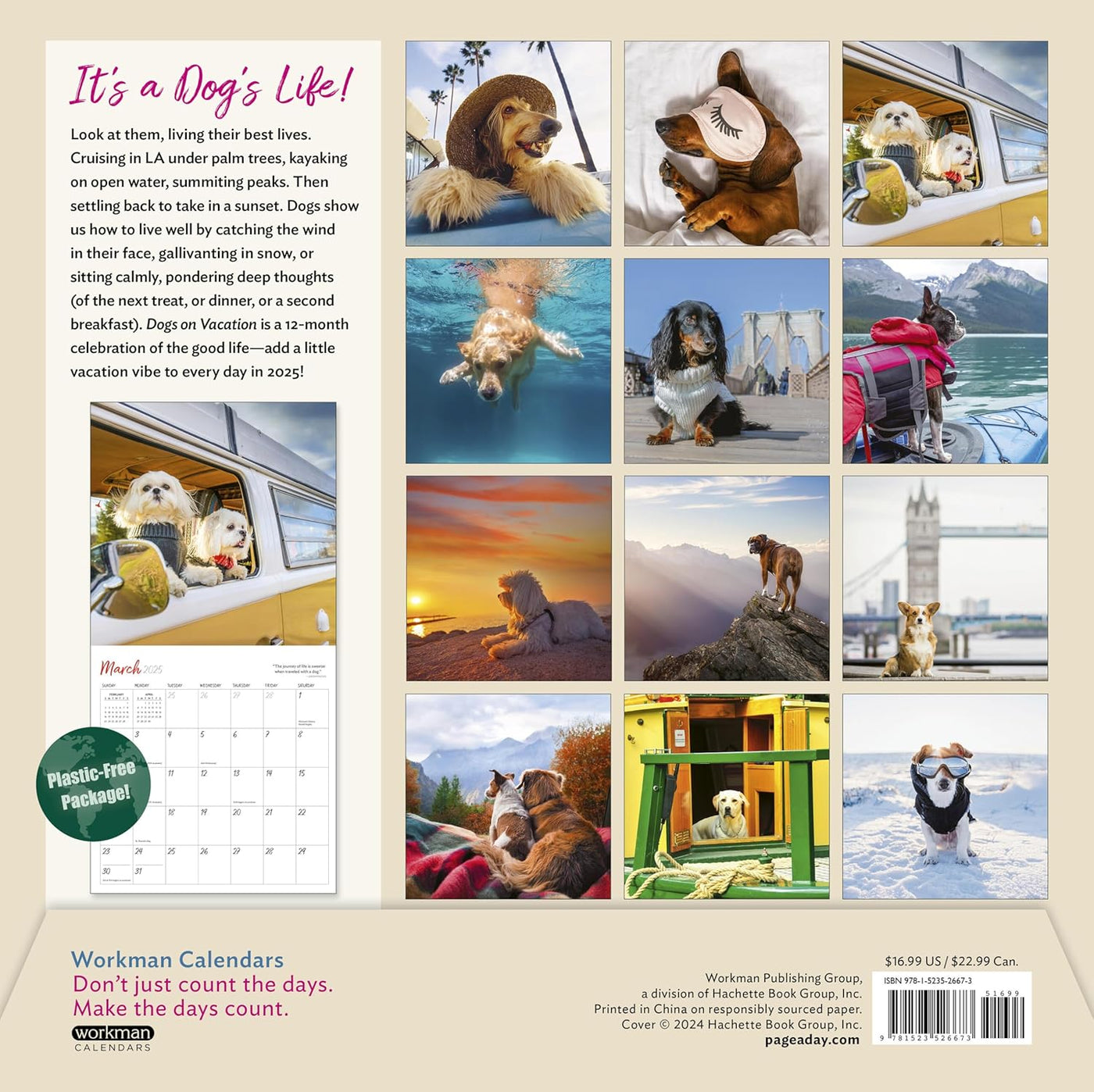 Dogs On Vacation Wall Calendar 2025