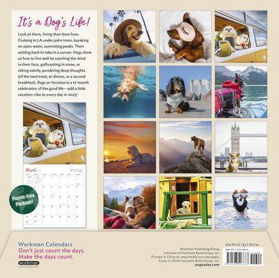 Dogs On Vacation Wall Calendar 2025