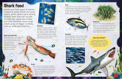 Sticker Encyclopedia: Sharks