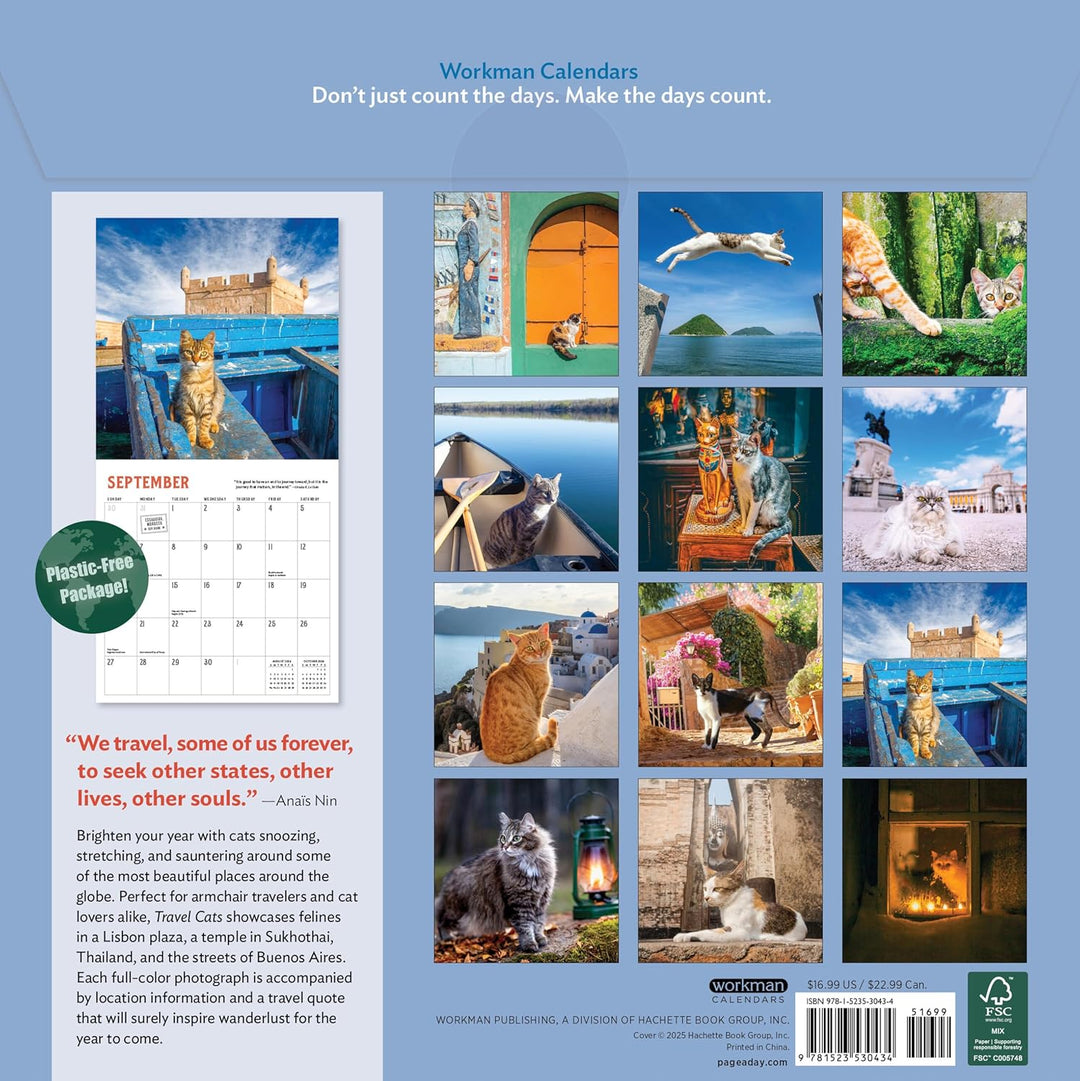 Wall Calendar 2026: Travel Cats