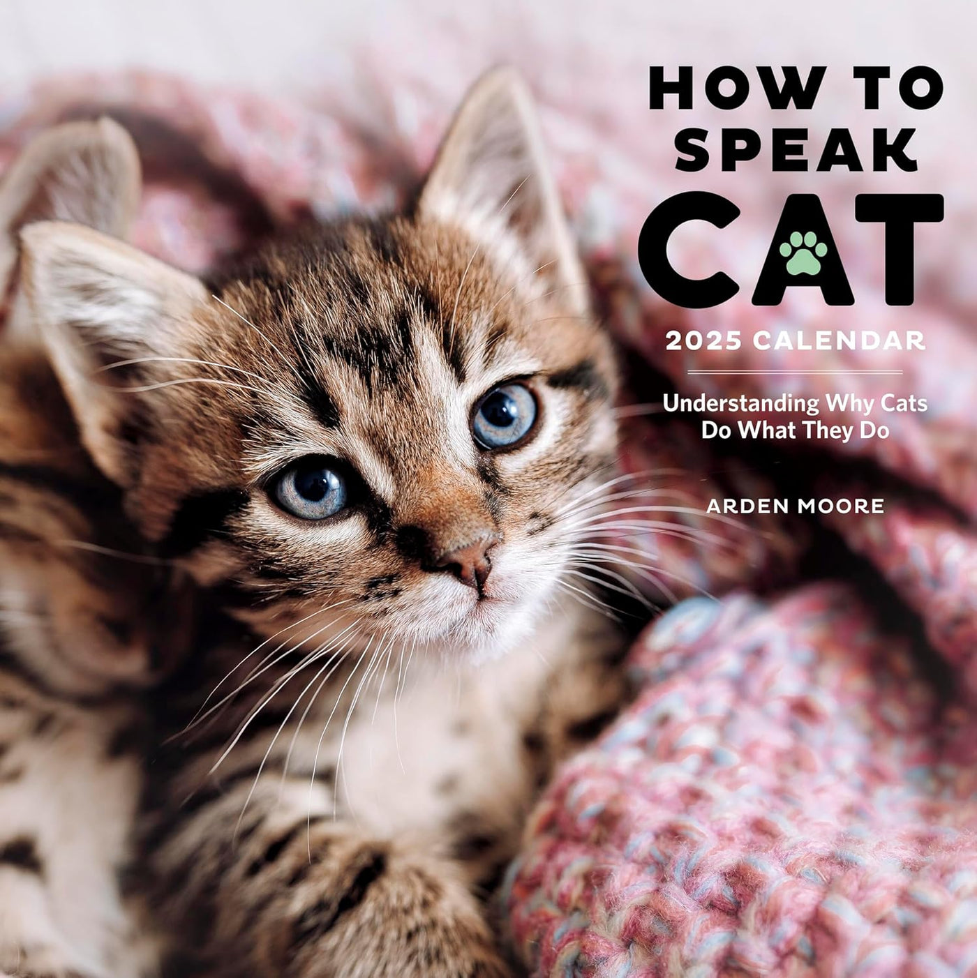 How To Speak Cat Wall Calendar 2025