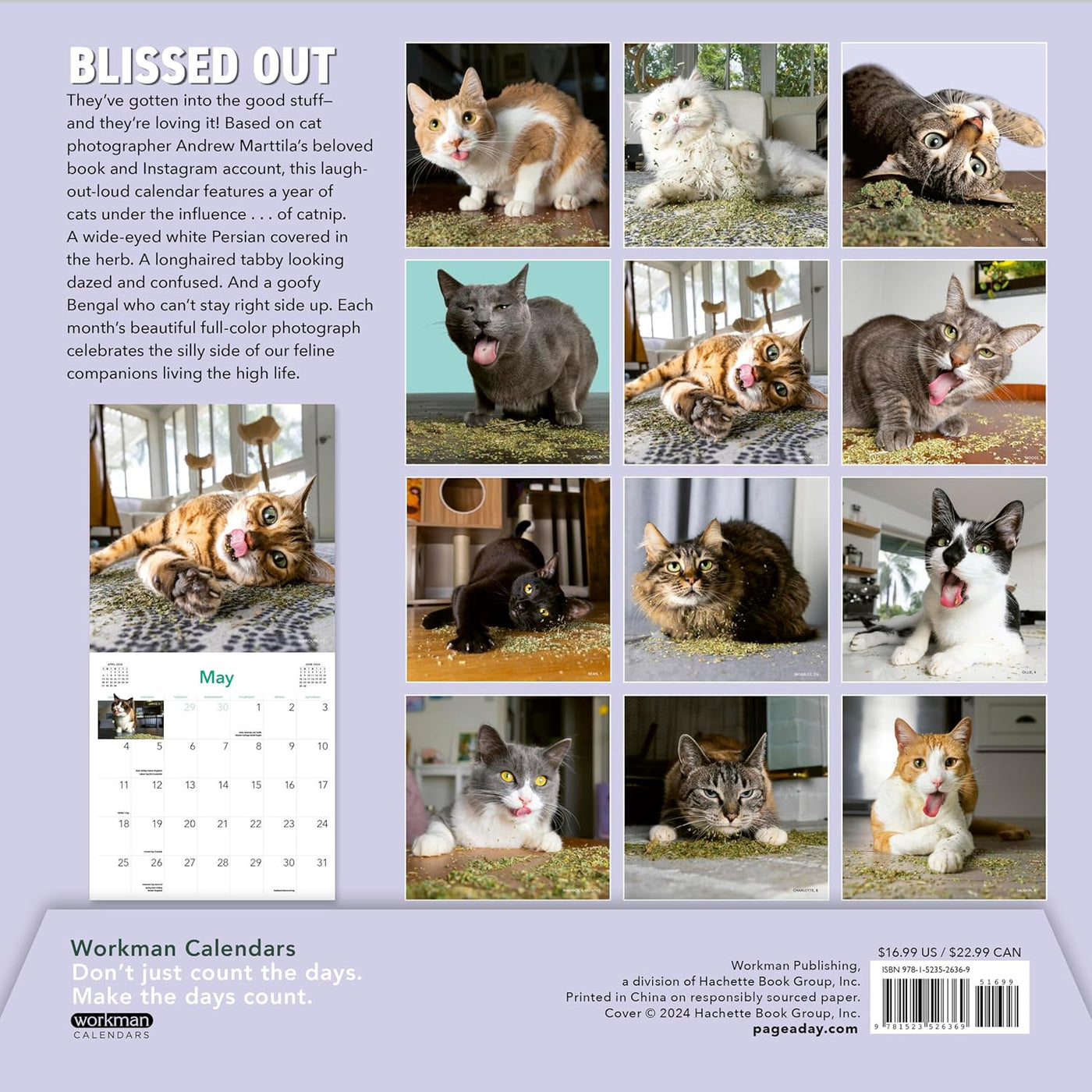 Cats On Catnip Wall Calendar 2025