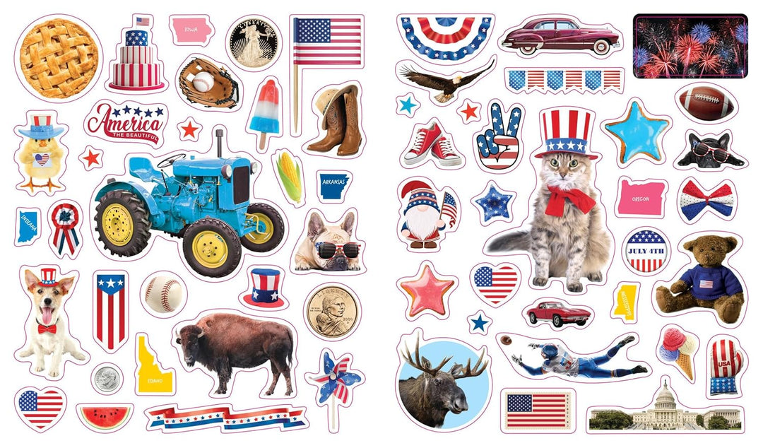 Eyelike Stickers: U.S.A.