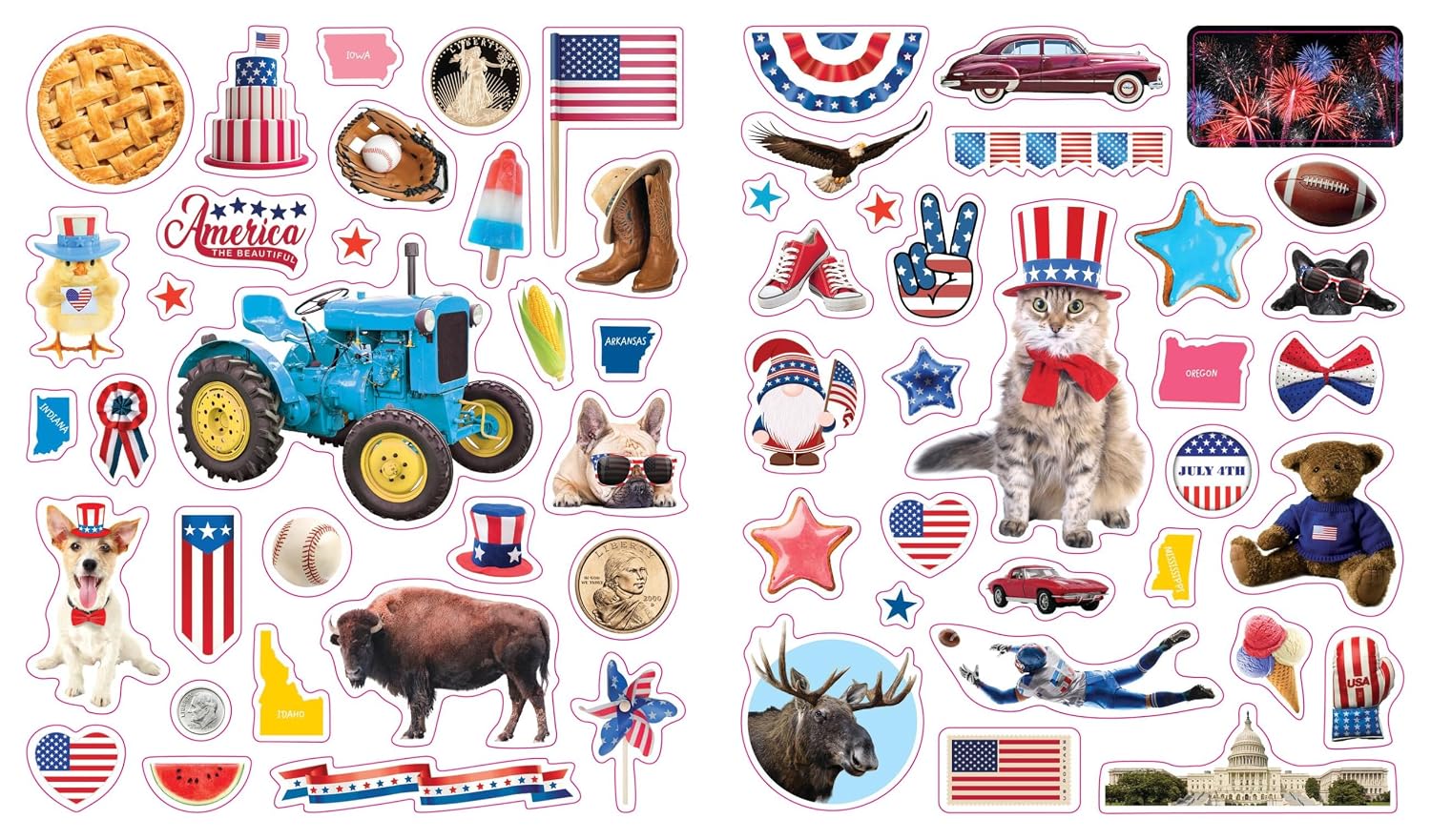 Eyelike Stickers: U.S.A.