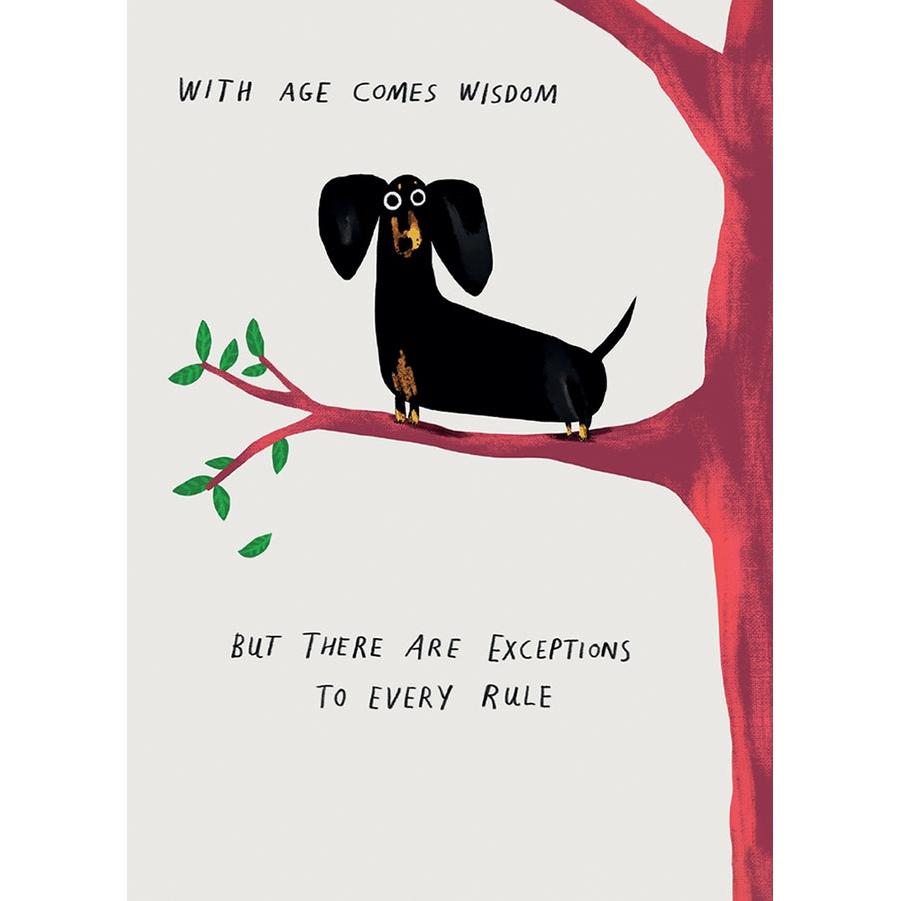 Wisdom Birthday Card - Just Fabulous Palm Springs