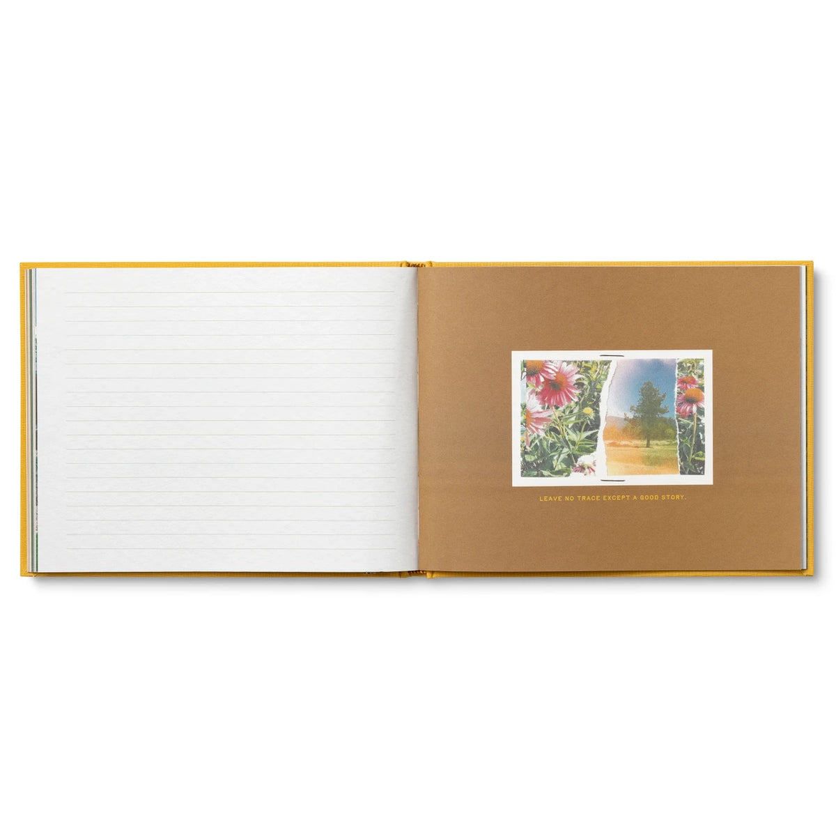 Greetings From Here Guest Book