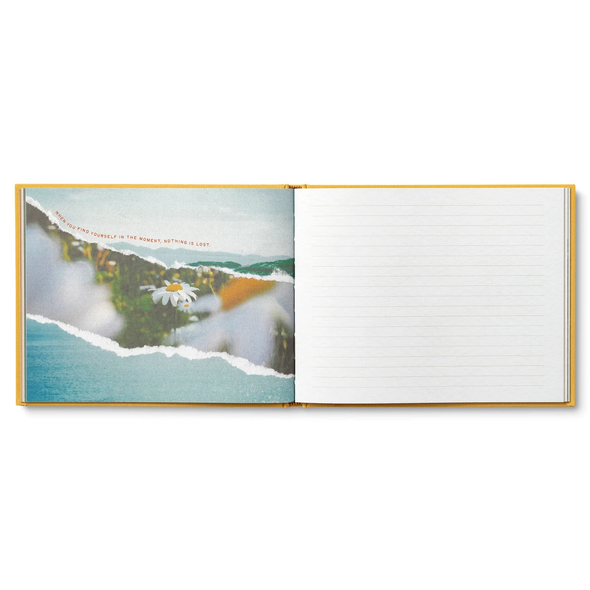 Greetings From Here Guest Book