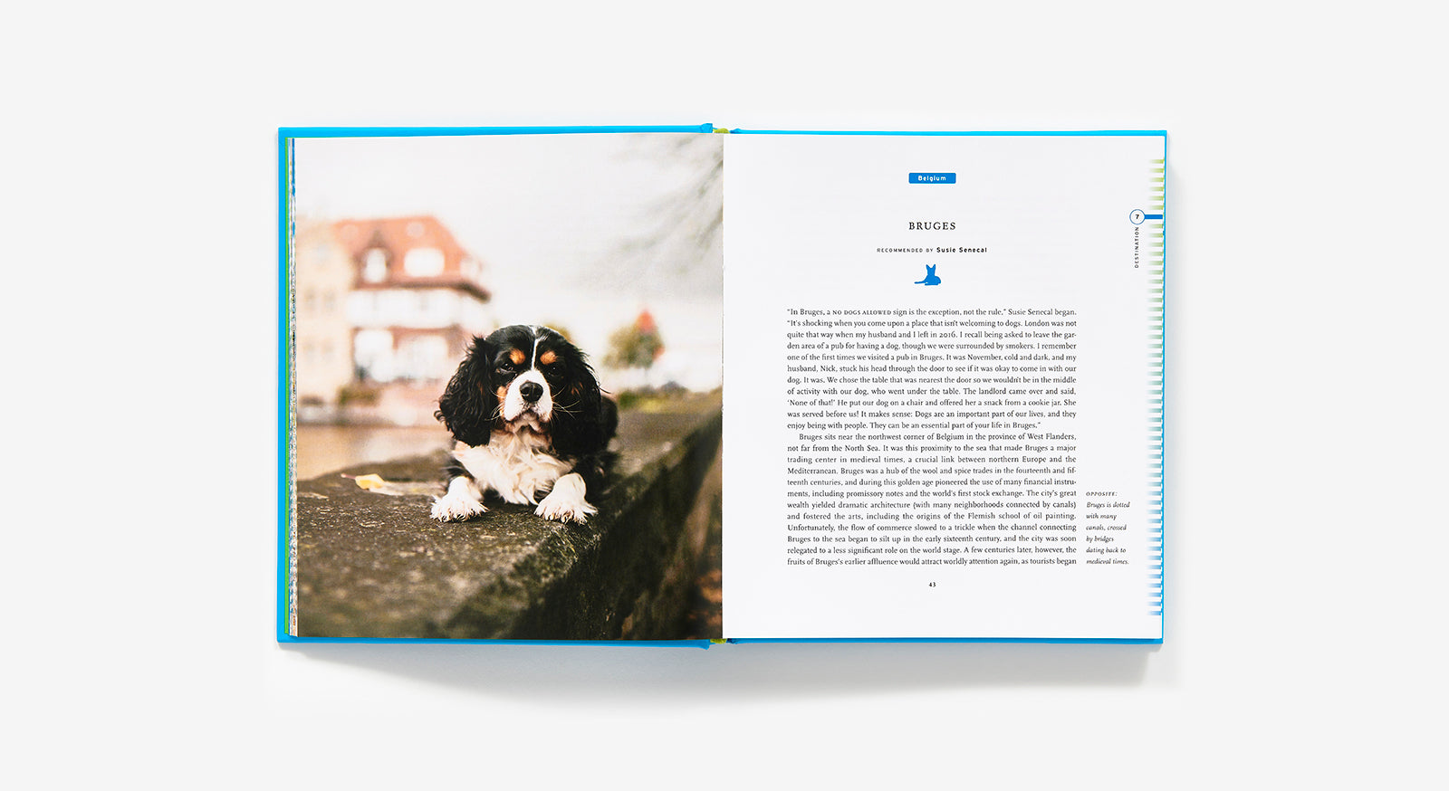 Fifty Places To Travel With Your Dog Before You Die