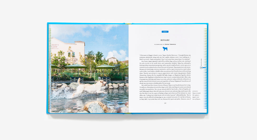 Fifty Places To Travel With Your Dog Before You Die