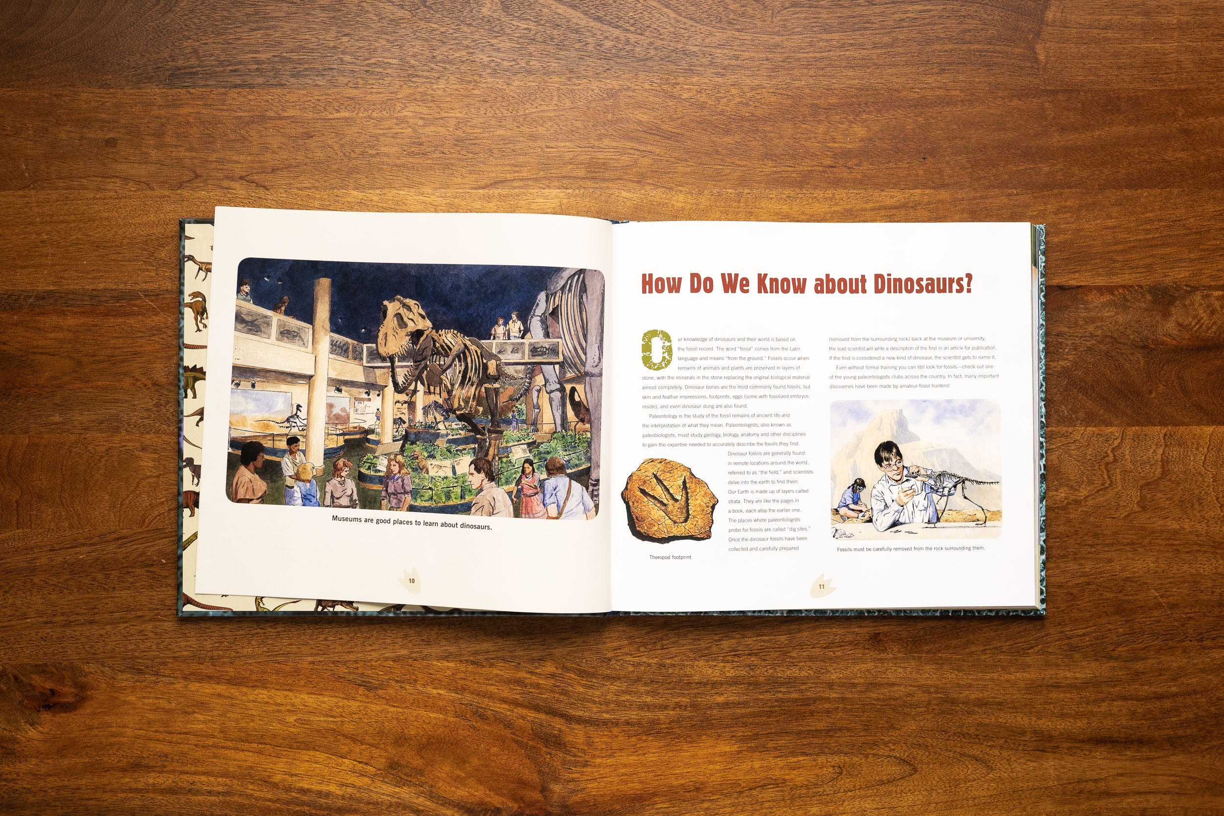 Discovering Dinosaur