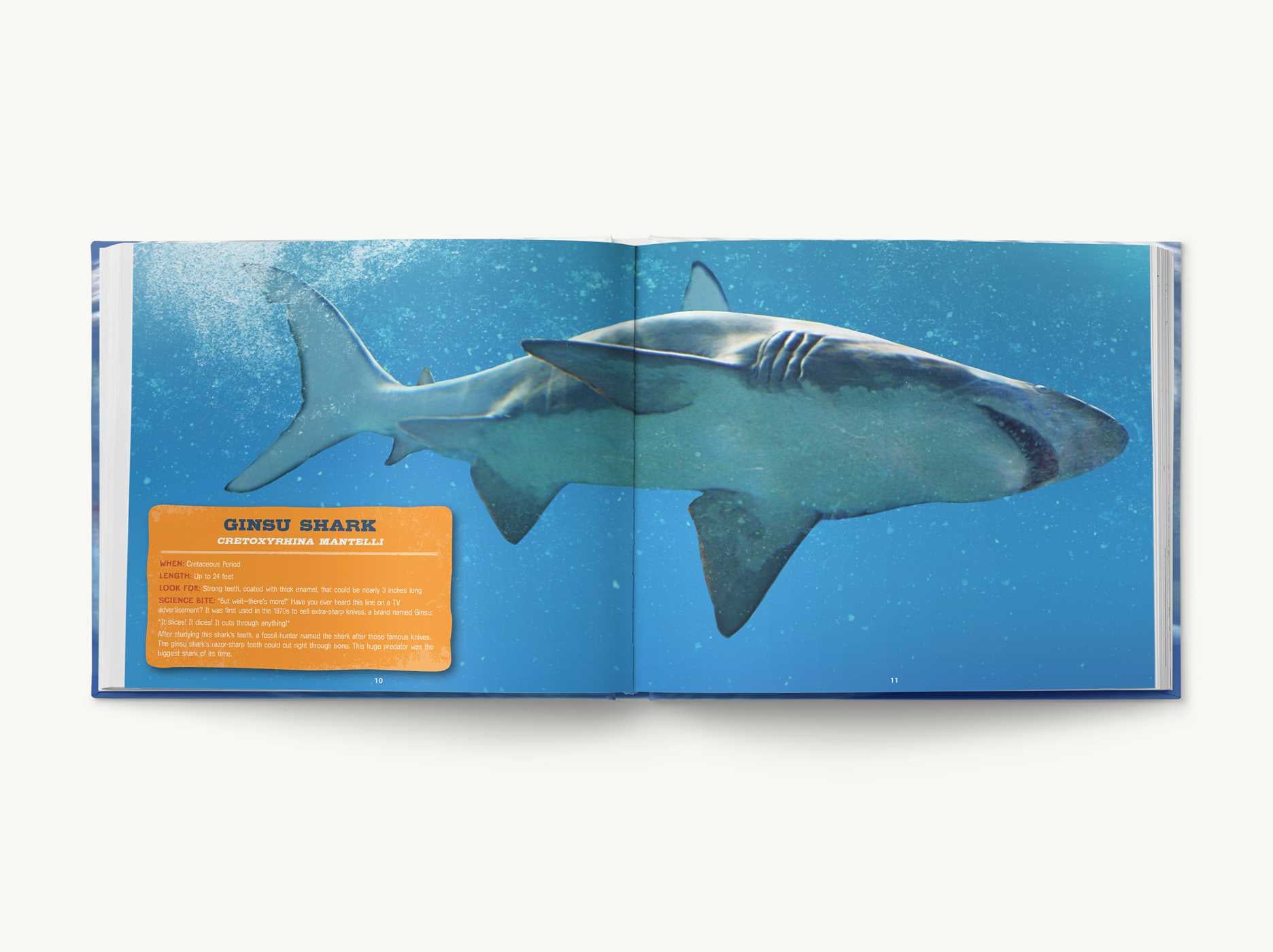 Discovering Sharks