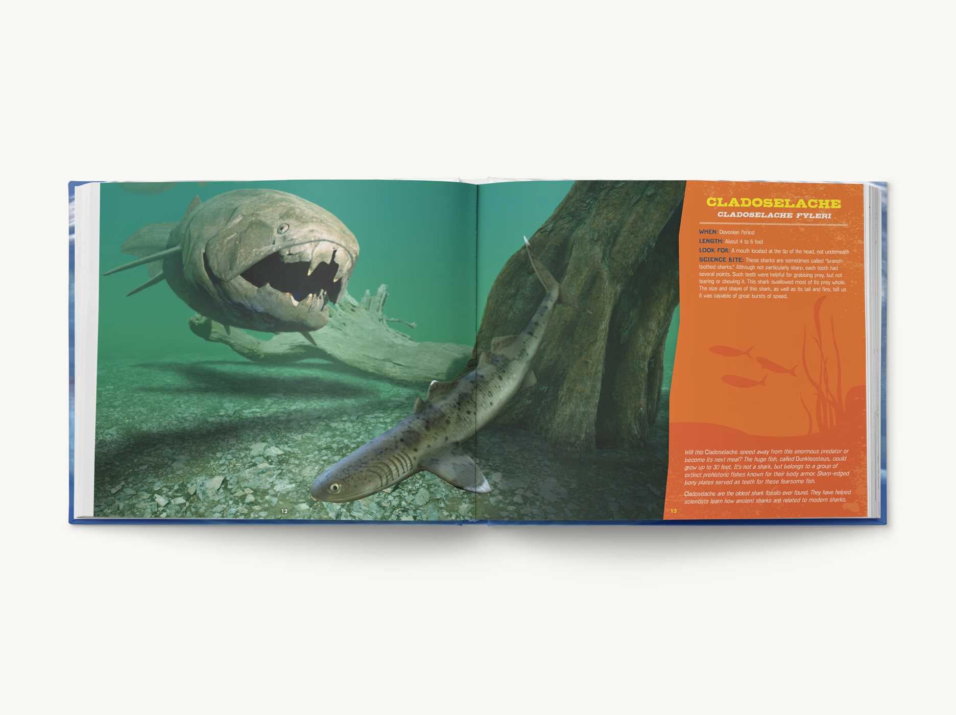Discovering Sharks