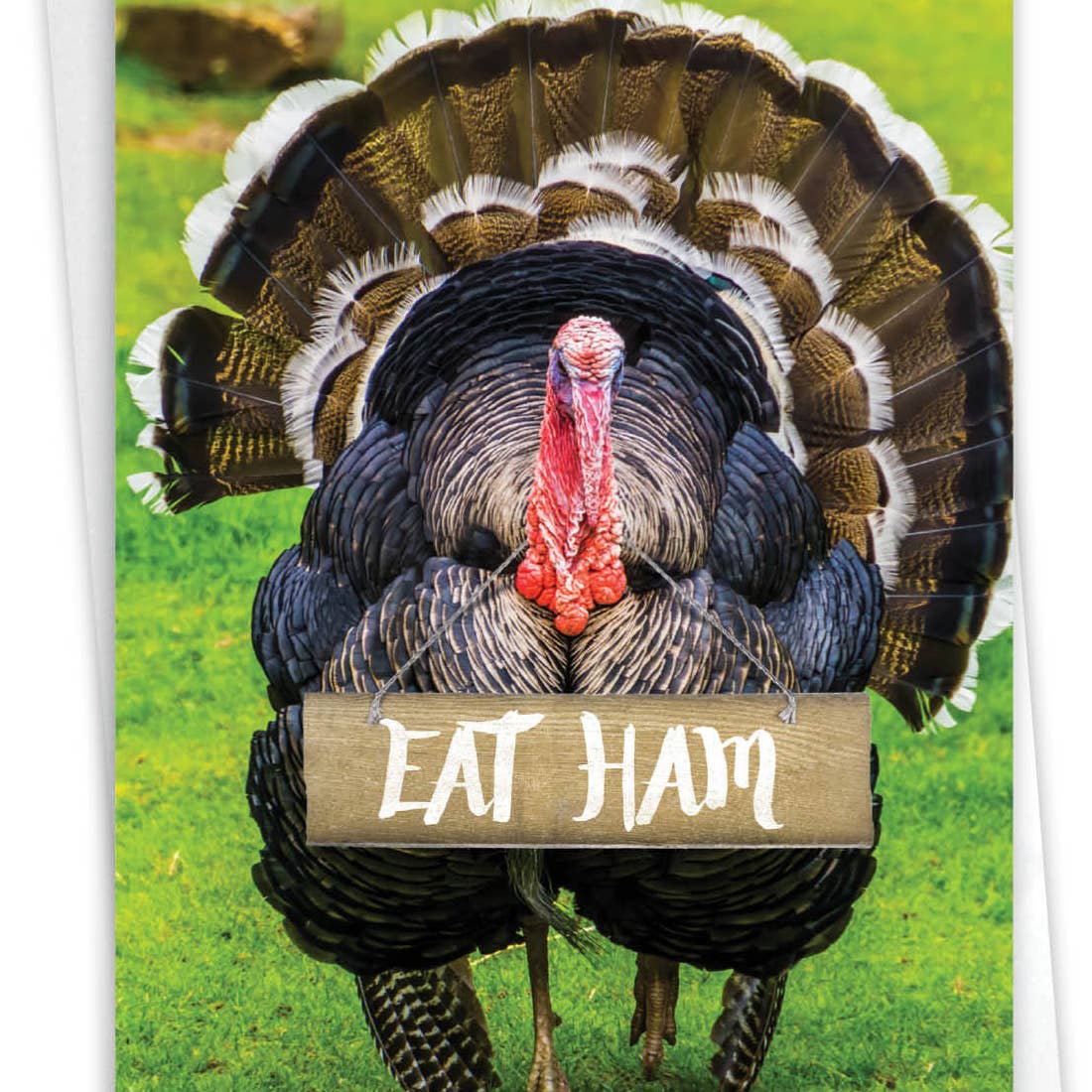 Eat Ham Thanksgiving Card