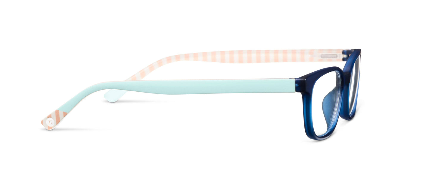 Beach Read Reading Glasses - Navy/Summer Stripe