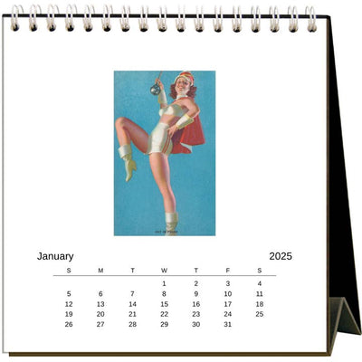 2025 Pin-Ups Easel Desk Calendar