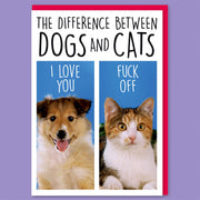 Difference Between Dogs and Cats Greeting Card - Just Fabulous Palm Springs