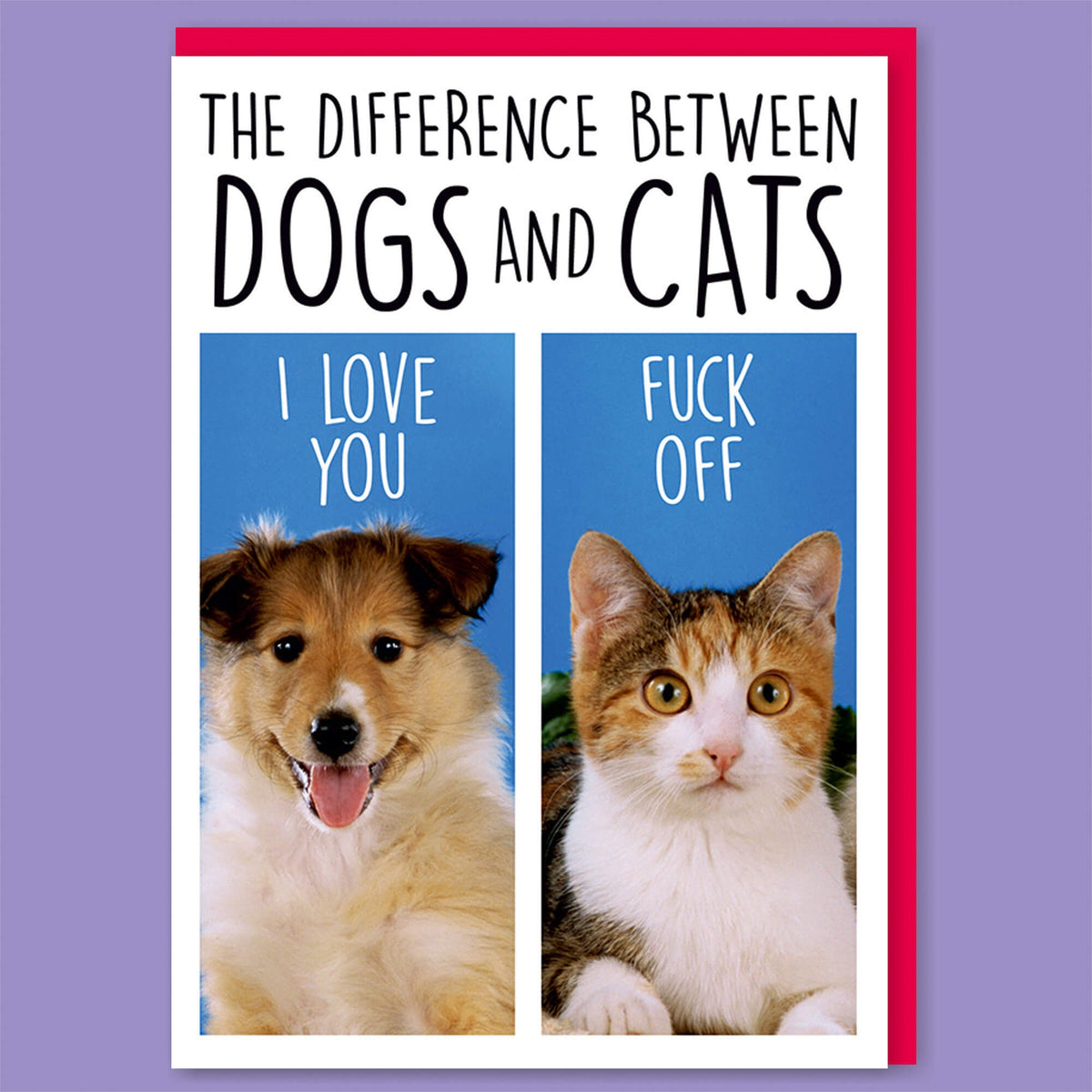 Difference Between Dogs and Cats Greeting Card - Just Fabulous Palm Springs
