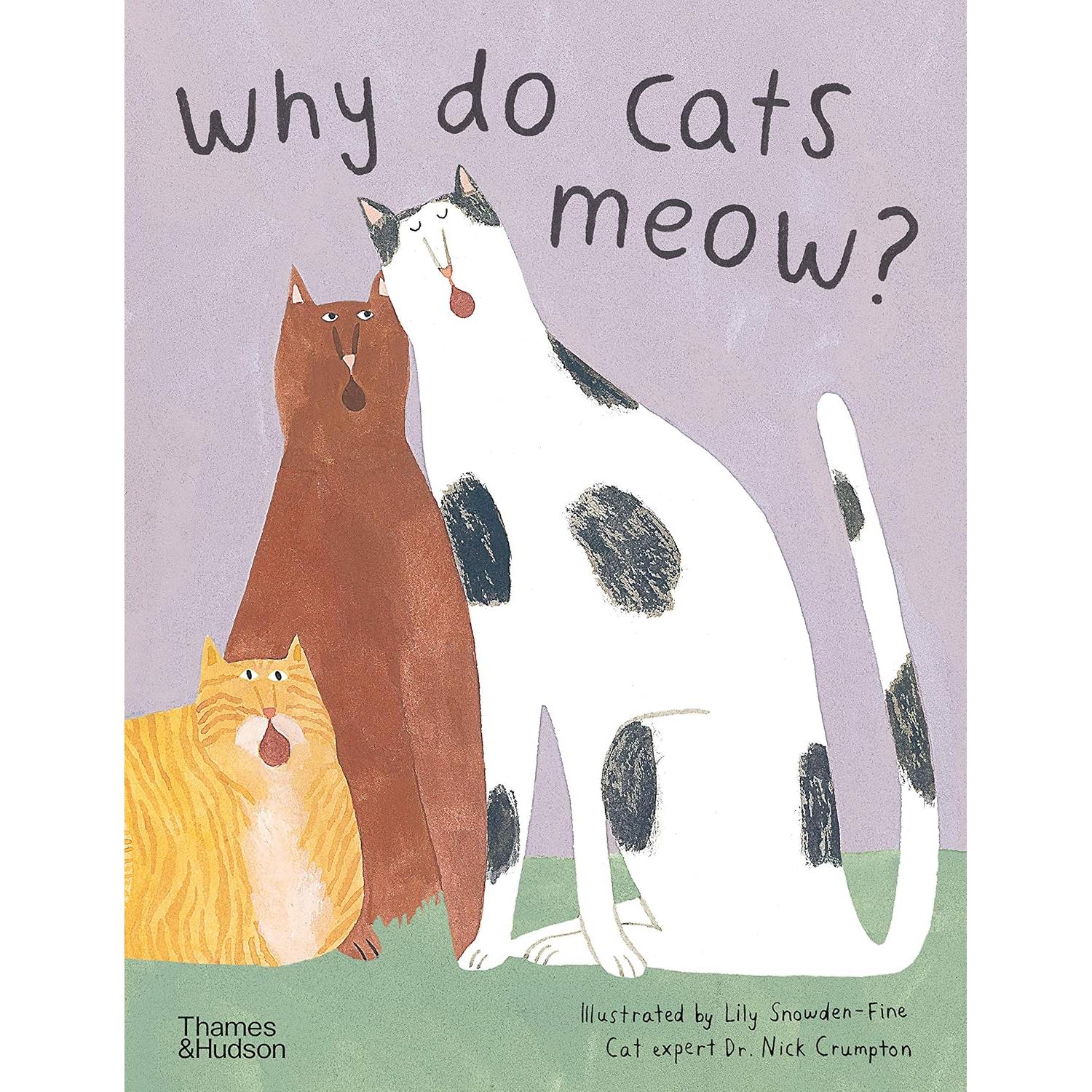 Why Do Cats Meow? - Just Fabulous Palm Springs