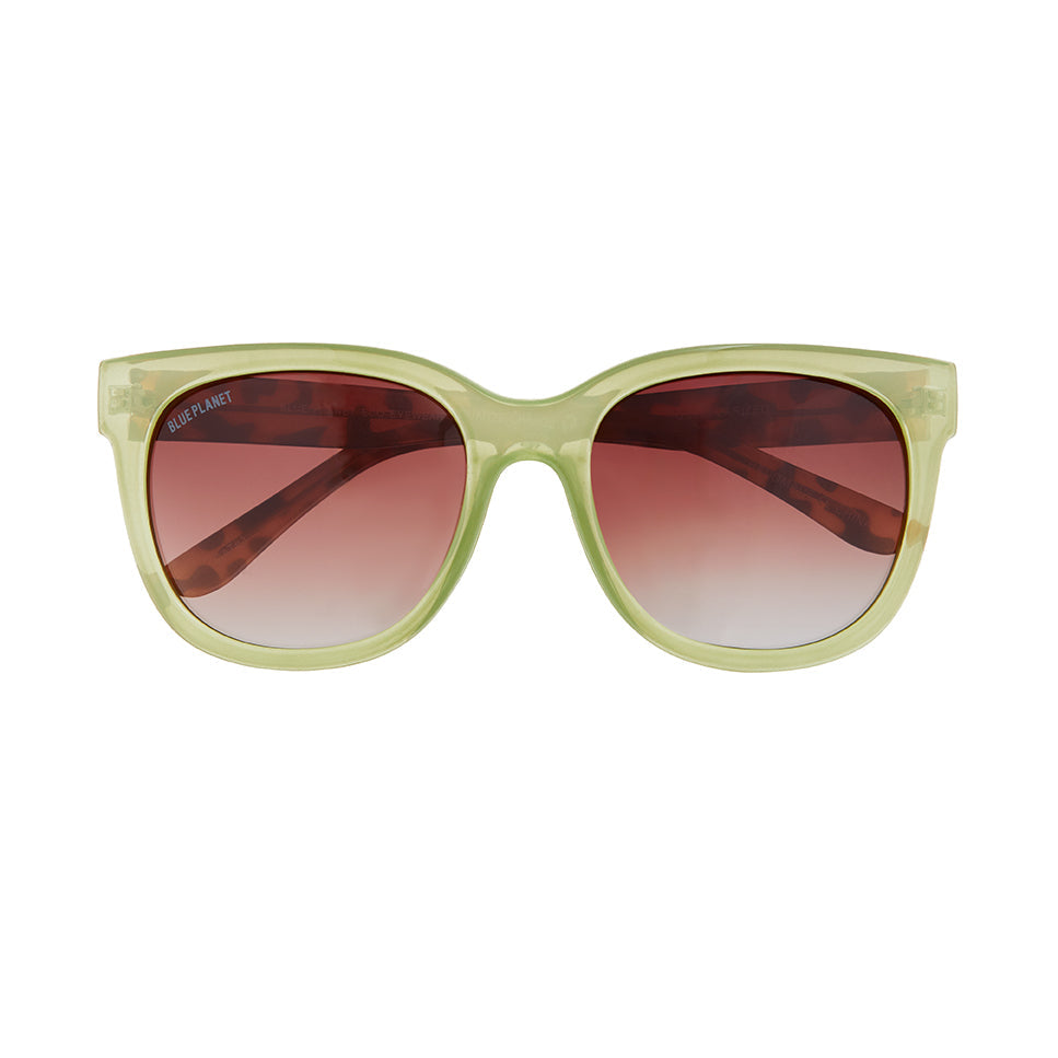 Acacia Polarized Sunglasses - Sage Green / Honey Tortoise