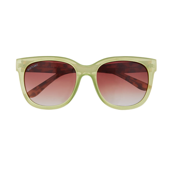 Acacia Polarized Sunglasses - Sage Green / Honey Tortoise