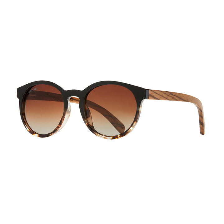 Andiz Polarized Sunglasses - Onyx & Honey Tortoise / Zebra Wood