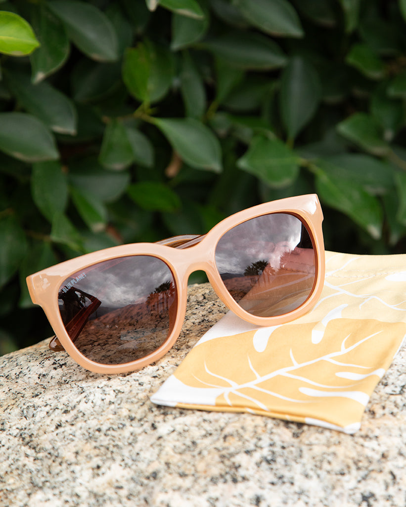 Acacia Polarized Sunglasses - Milky Beige / Honey Tortoise