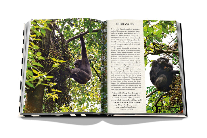 African Adventures: The Greatest Safari On Earth