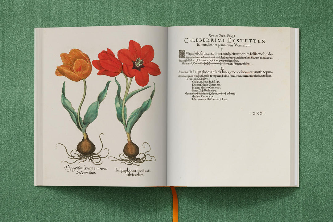 Basilius Besler: The Garden At Eichstatt