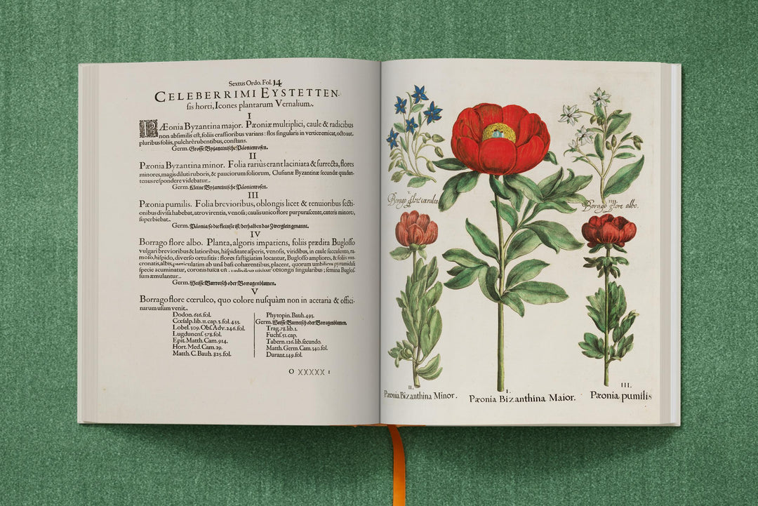 Basilius Besler: The Garden At Eichstatt