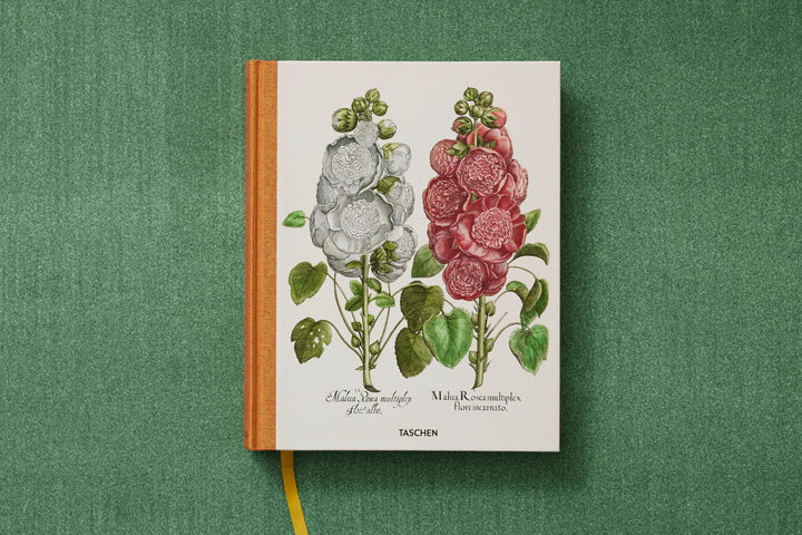 Basilius Besler: The Garden At Eichstatt