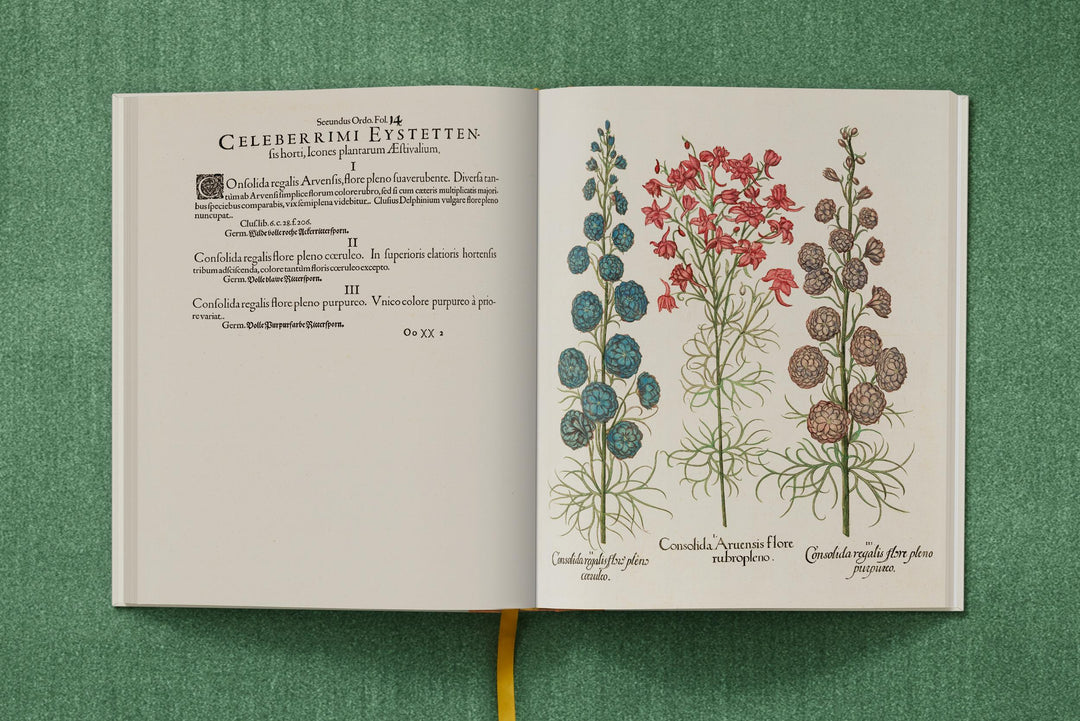 Basilius Besler: The Garden At Eichstatt