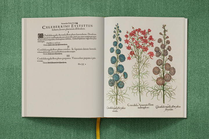 Basilius Besler: The Garden At Eichstatt
