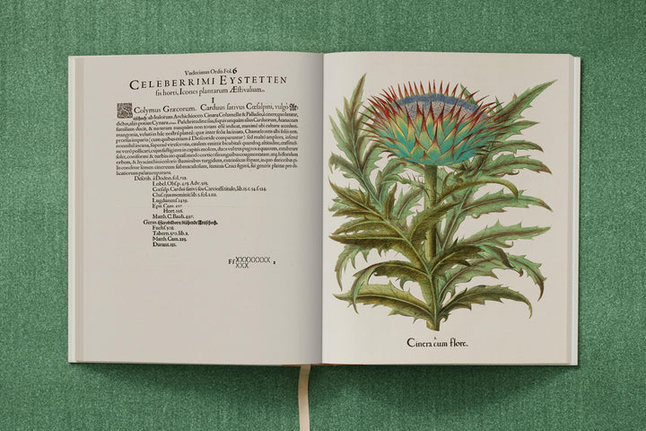 Basilius Besler: The Garden At Eichstatt