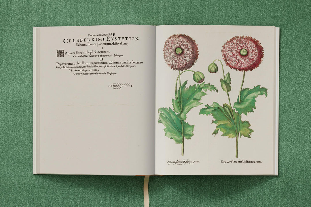 Basilius Besler: The Garden At Eichstatt