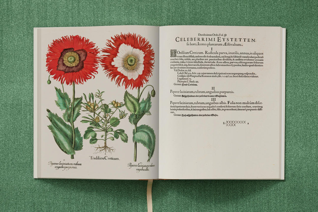 Basilius Besler: The Garden At Eichstatt