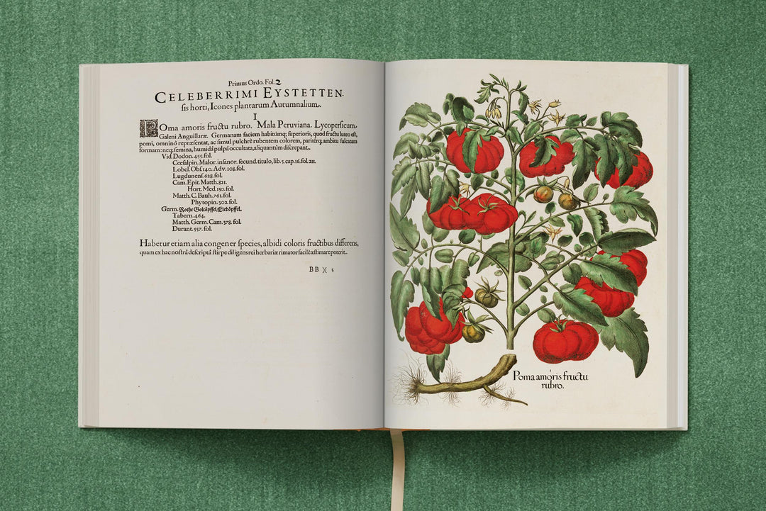 Basilius Besler: The Garden At Eichstatt