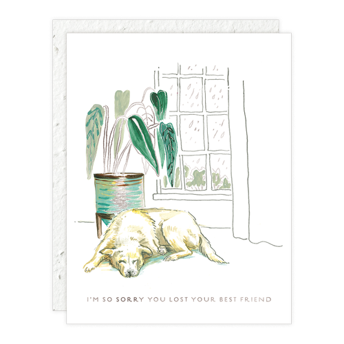 Best Friend Pet Sympathy Greeting Card