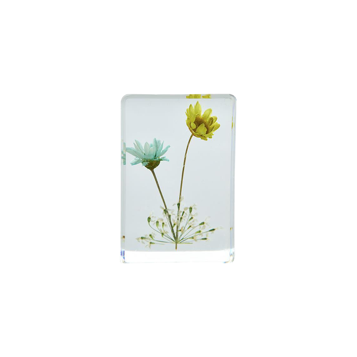 Wildflowers Pressed Floral Keepsake In Gift Box - Brazilian Star Blue - Just Fabulous Palm Springs