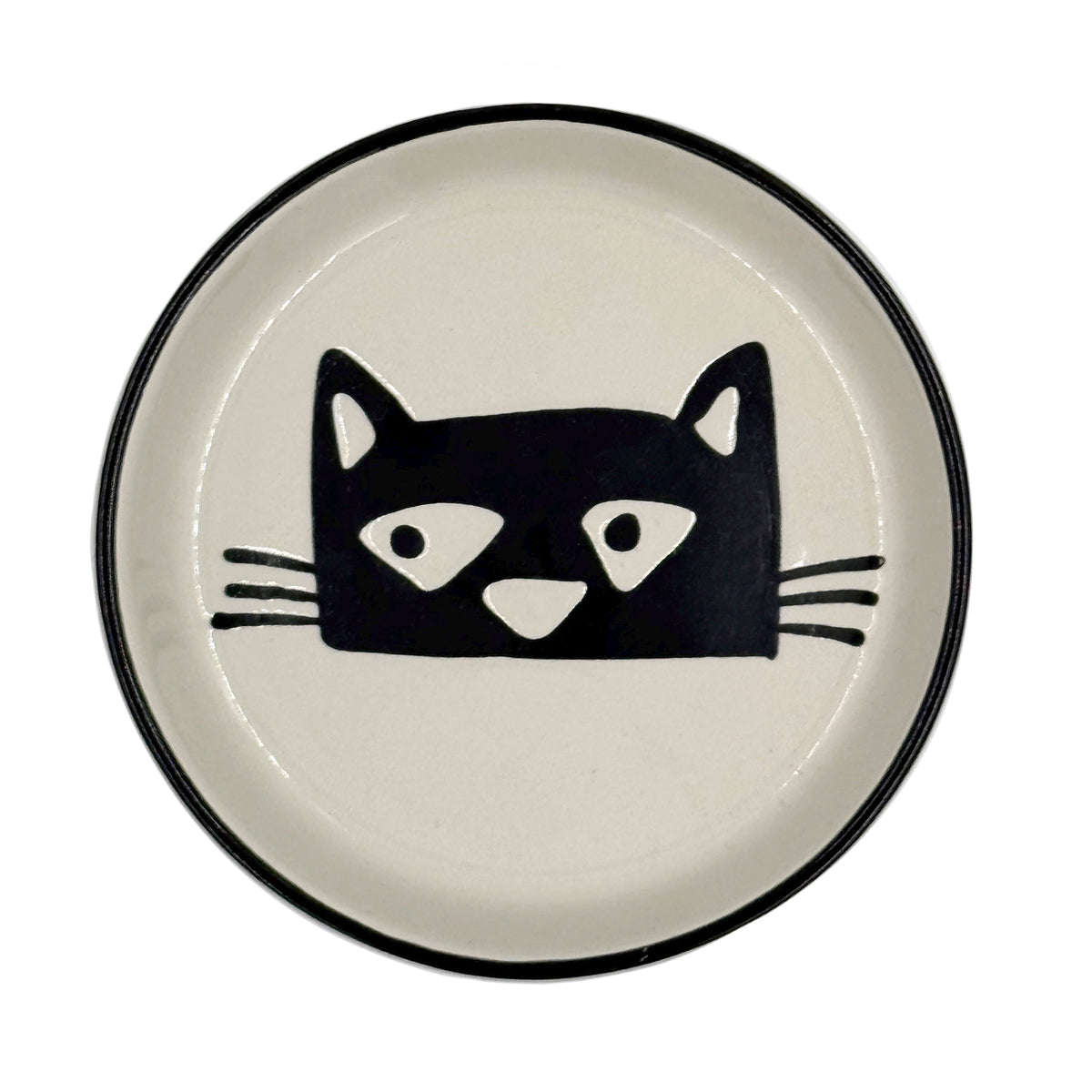 Camp Coaster Cat