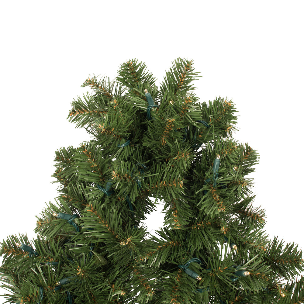 Oregon Fir Christmas Garland - 9' x 12" Pre-Lit With 100 Warm White LED Lights
