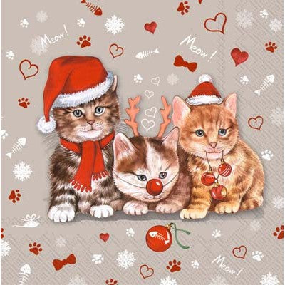 Cats Celebration Holiday Cocktail Napkins