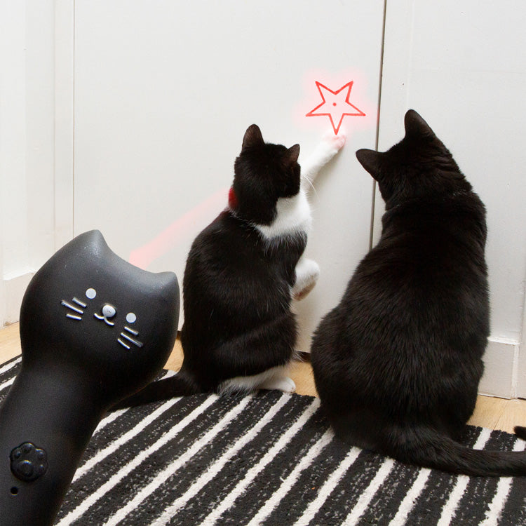 Kiko Rechargeable Pounce & Play Laser